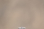 230811-124644-01399