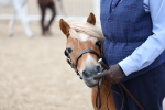 SBM_05964