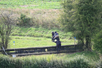 WJ6_8912