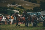 DSCF7308