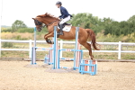 SBM_000881