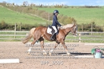 BPP_9095