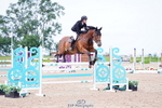 Cls 29 Snr Foxhunter portfolio
