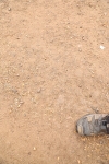 SBM_007386