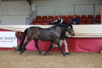 SBM_17421