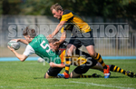 Rugby Sevens Festival 2020-29
