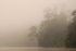 River in the clouds...