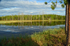 Wild Brown Bear Centre, near Vartius, Kainuu, Finland