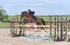 BPP_3998