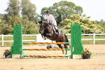 SBM_003946