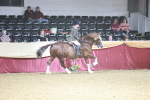 SBM_08925