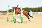 SBM_003539