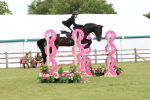 Class 207 - Senior 1.15m Open portfolio
