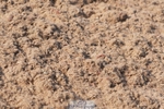 250621-181646-10424