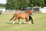 SBM_10581