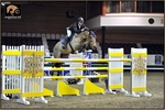 equiscot 2539 DOUGLAS DUFFIN ARTHUR VAN DE HELLE