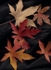 Autumn Leaves