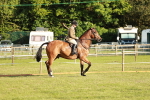 SBM_20438