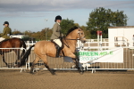 Class 502 - Riding Club Horse portfolio