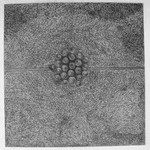 Collision Series, Drawings 2009 - 2010 portfolio
