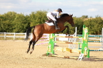 SBM_007965