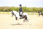 SBM_007866