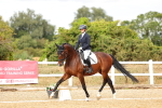 SBM_007440