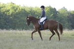 BVHT 140517 -40