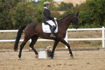 SBM_011961