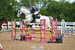 Cls 39 A&B British Novice & 90cm Open portfolio