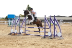 SBM_002509