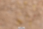 240121A-101551-00391