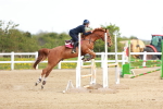 SBM_001806