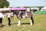 SBM_08797
