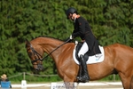 260-LOW_MOOR_LUCKY-Tom_Woodward-WEDTrotUp+DR portfolio