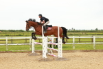 SBM_001987
