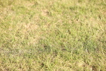 SBM_19716