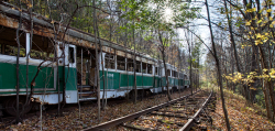 Trolley Graveyard | can't mourn everything