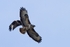 20120325-_MG_9978