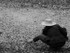 The Mudlark (b&w)