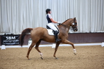 SBM_020278