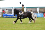 SBM_02651