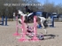 BPP_5873