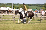 SBM_17868