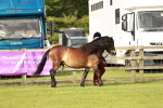 SBM_00426