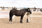 SBM_14628