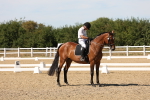 SBM_003754