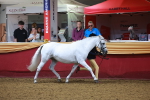 SBM_14697