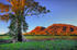 Cazneaux Tree and Wilpena Pound 2 HDR