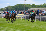 150526-Race 4-Love A Giggle-7727